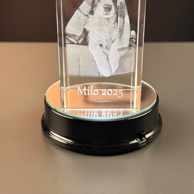 Sort rund batteri lysbase