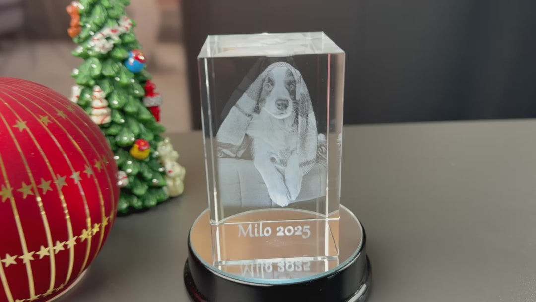 Rektangulær Glasblokke