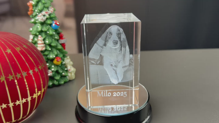 Rektangulær Glasblokke